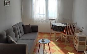 Sunny Apartment In Rijeka